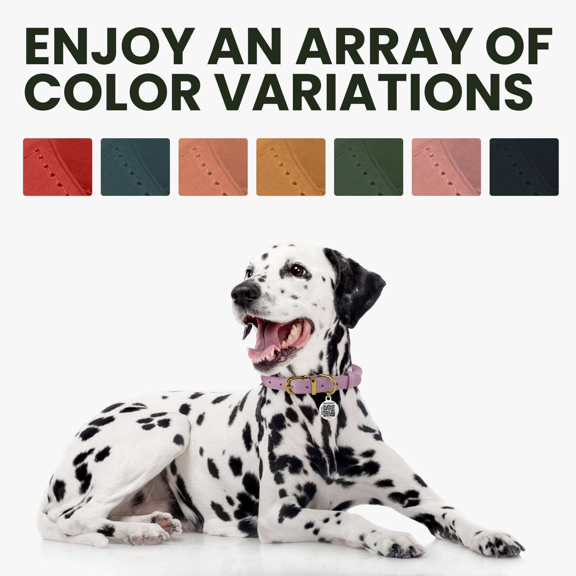 BronzeDog Rolled Leather Dog Collar. Chosen for real quality, fits naturally into modern pet homes.