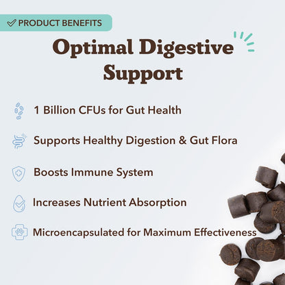 Natural Dog Company Gut Health & Probiotic Chews for Dogs (45 Ct), Prebiotics, Digestive Enzymes & Canine Specific Probiotics for Digestion, Gas, Loose Stool & Immune System Support, 1 Chew Daily