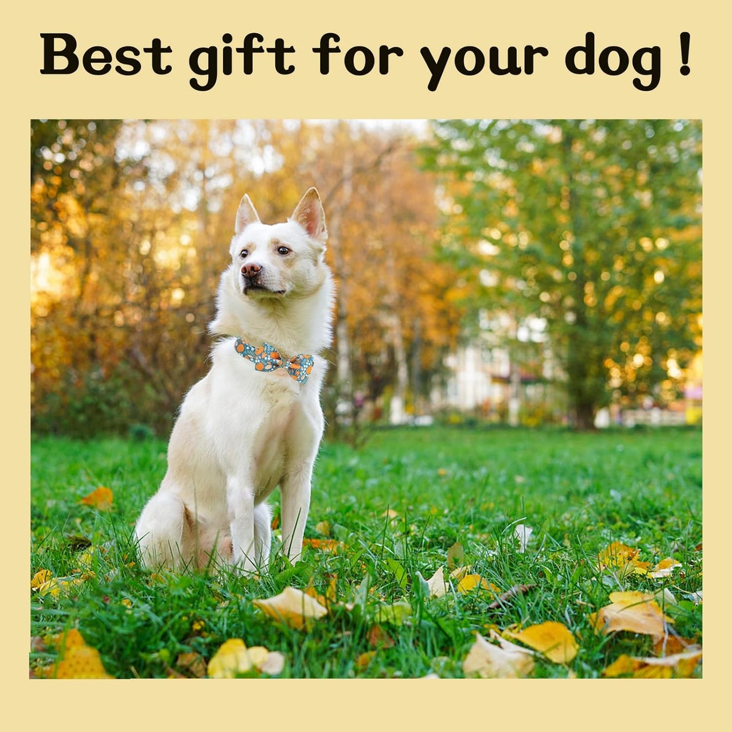 Unique style paws Halloween Dog Collar with Bow Tie Pumpkin Cotton Collar Adjustable Puppy Collar for Small Medium Large Dogs-XL