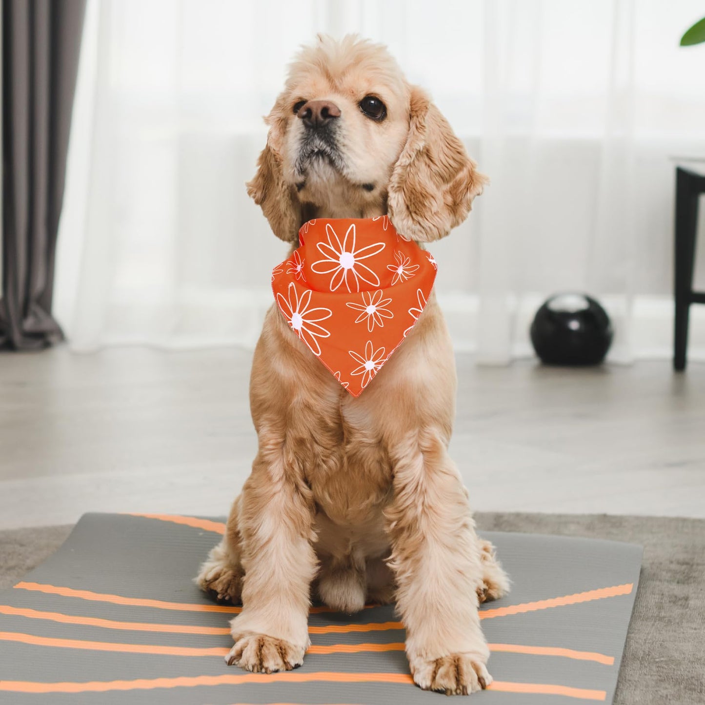 Whaline 4 Pcs Boho Pet Bandanas. Chosen for real quality, fits naturally into modern pet homes.