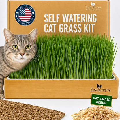 Cat Grass for Indoor Cats. Chosen for real quality, fits naturally into modern pet homes.