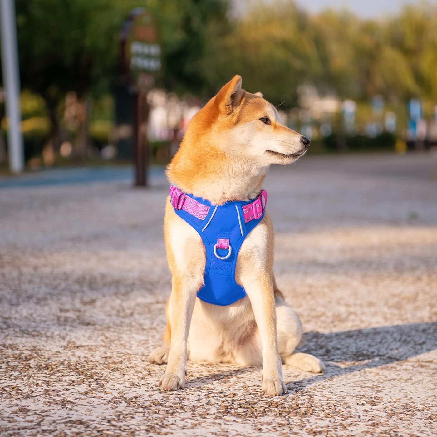 PHOEPET No Pull Dog Harness, Unique Colors Reflective Adjustable Dog Vest, with Soft Training Handle Metal Clips for Small Medium Large Dogs (Royal Blue Base & Pink Straps,S)