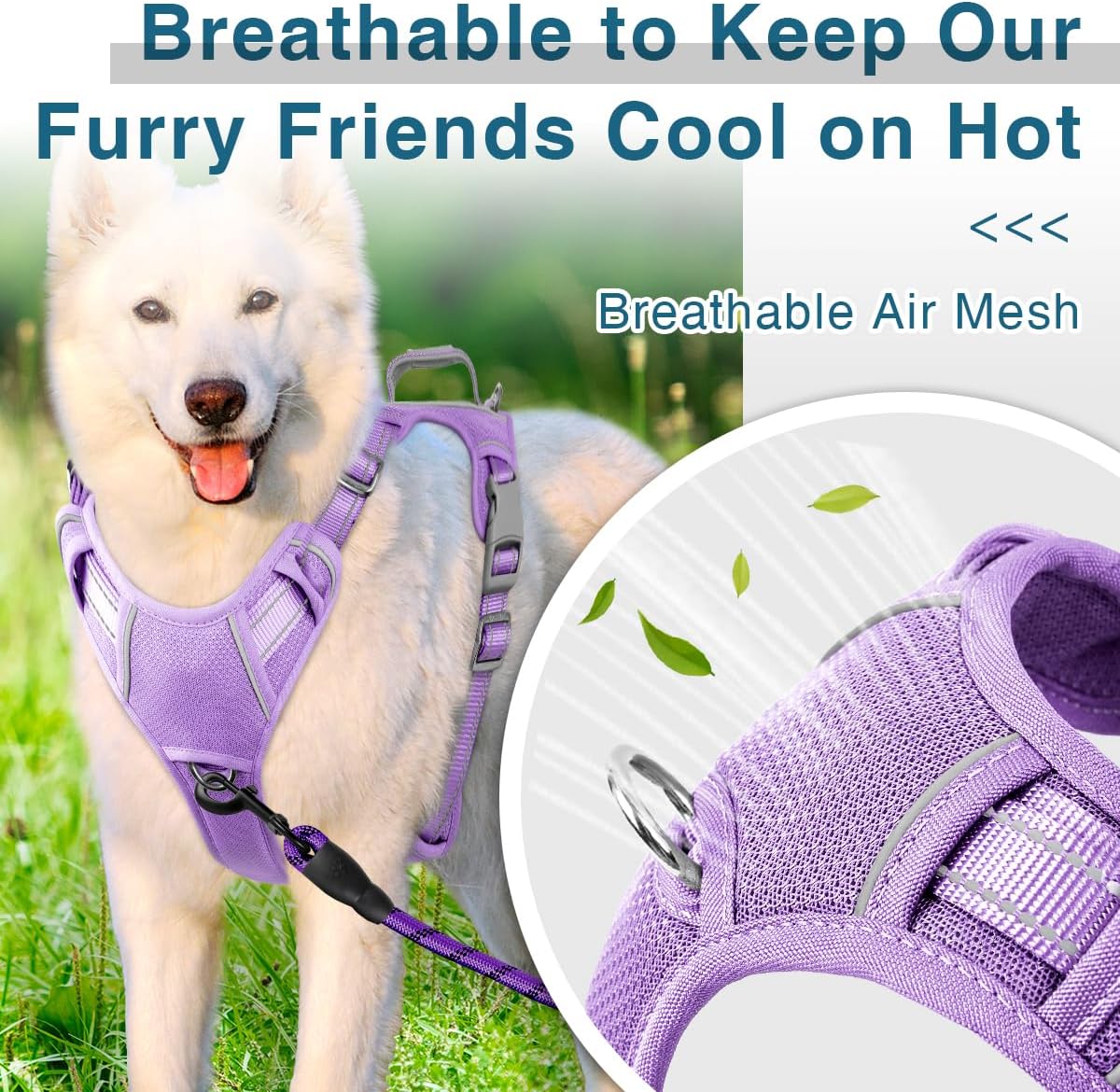 BARKBAY Dog Harness No Pull with ID Tag Pocket - Heavy Duty, Reflective, Easy Control for Large Dogs(Violet Purple,L)