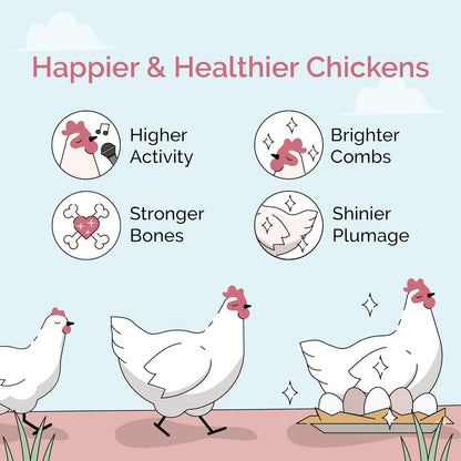 Organic Chicken Feed – Layer Pellet, Non-GMO, USA Grown, 16% Protein, Corn-Free, Soy-Free, Non-Medicated Feed for Chickens, 23 lbs