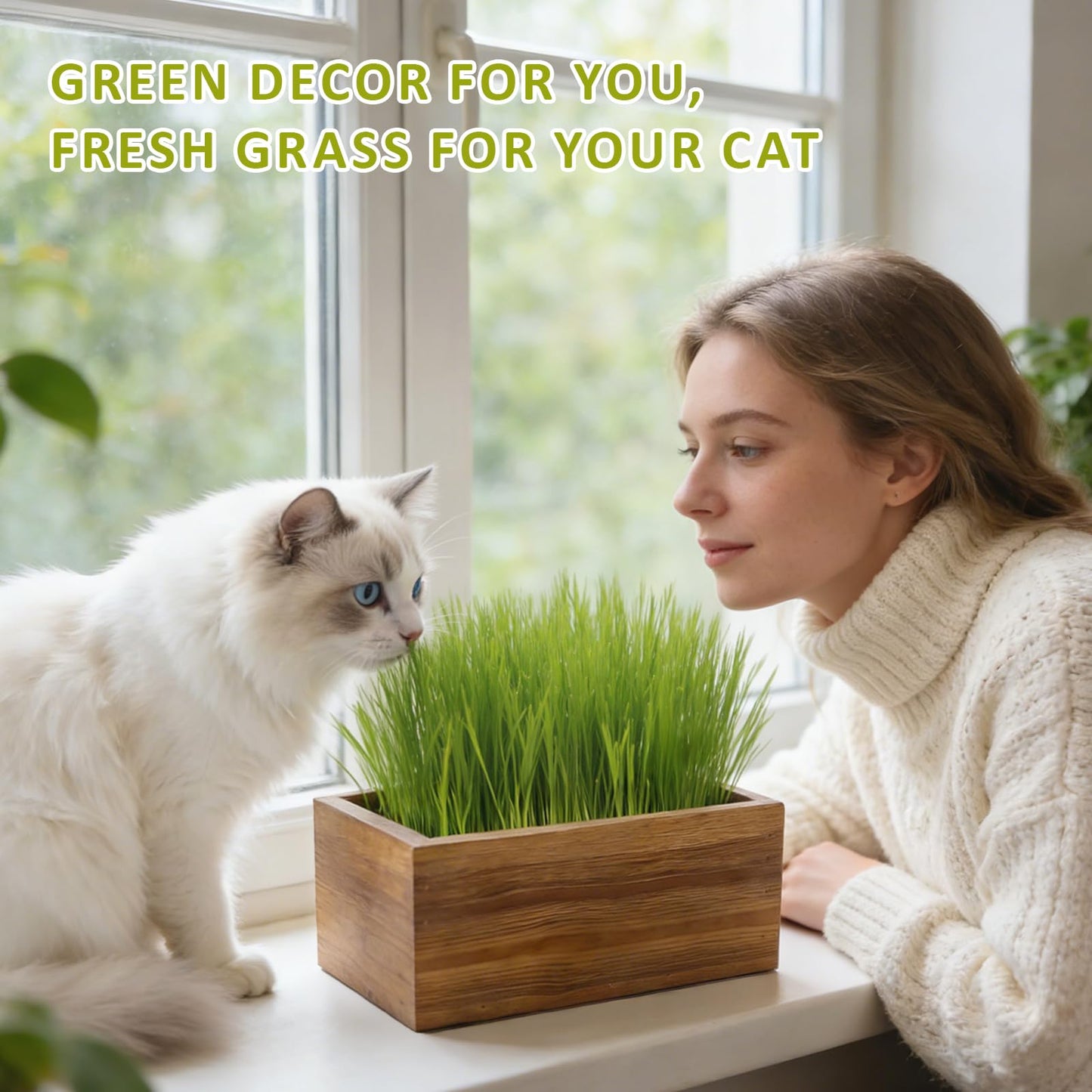 Cat Grass Kit for Indoor Cats with Wooden Planter. Chosen for real quality, fits naturally into