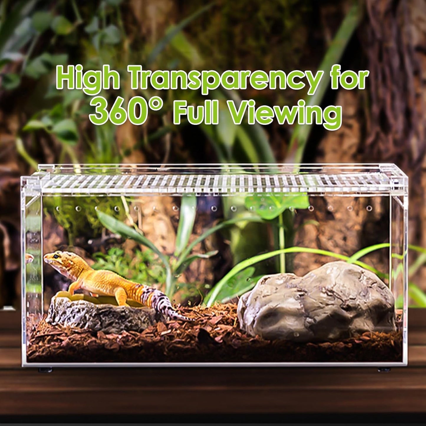 Acrylic Reptile Terrarium Enclosure 9.8" x 5.9" x 5.9" Magnetic Tarantula Breeding Box Transparent Insect Habitat for Jumping Spider Hermit Crab Lizard Sling Isopods Horned Frog Snake Gecko