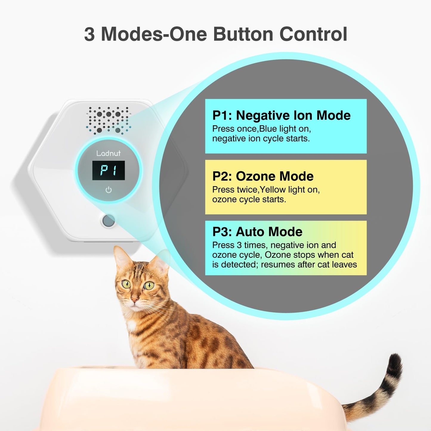 Cat Litter Odor Deodorizer. Chosen for real quality, fits naturally into modern pet homes.