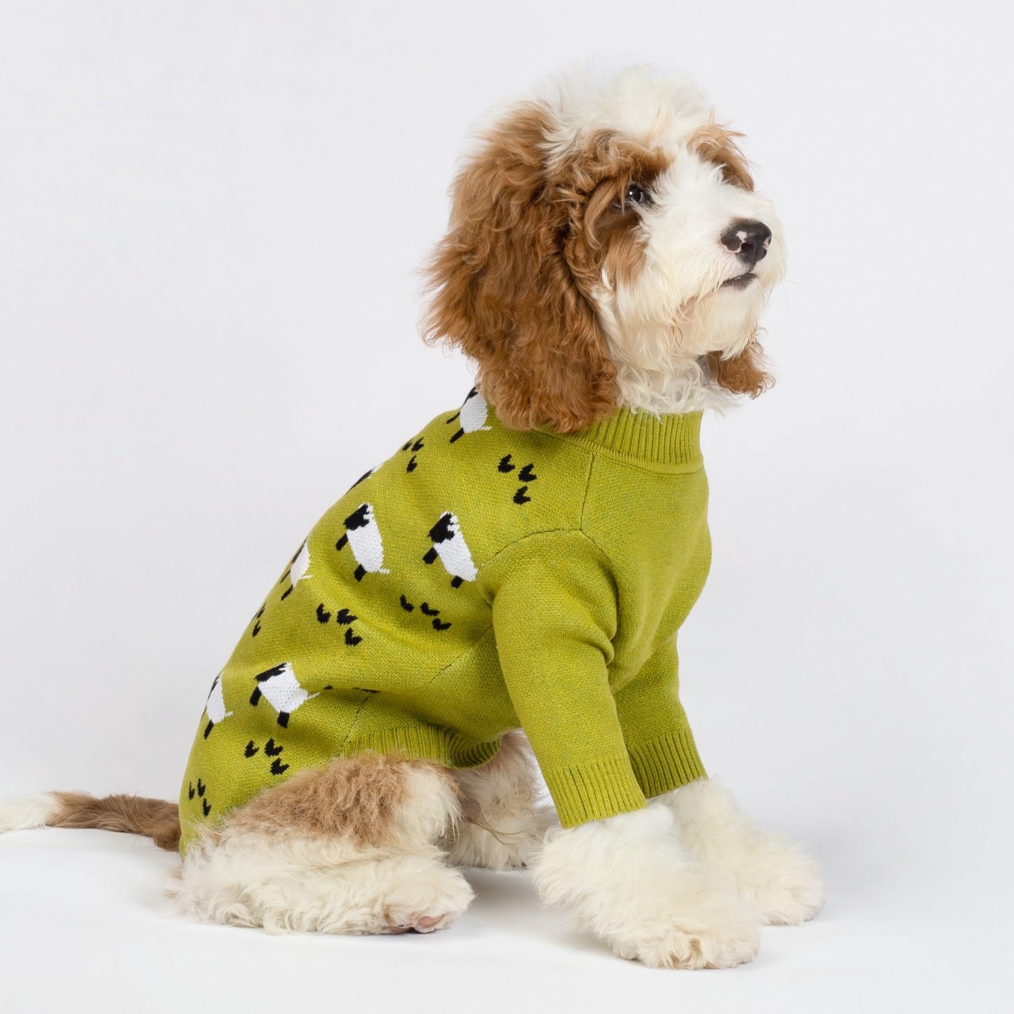 Fitwarm Funny Sheep Dog Sweater. Chosen for real quality, fits naturally into modern pet homes.