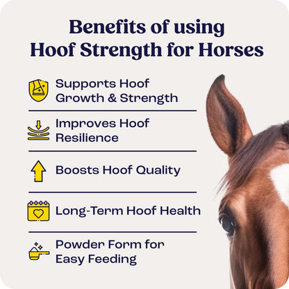 Summit Equine Hoof Strength Powder for Horses, Promotes Healthy Hooves with Biotin, Amino Acids, and Minerals, Horse Hoof Supplement,11 oz, 30-Day Supply