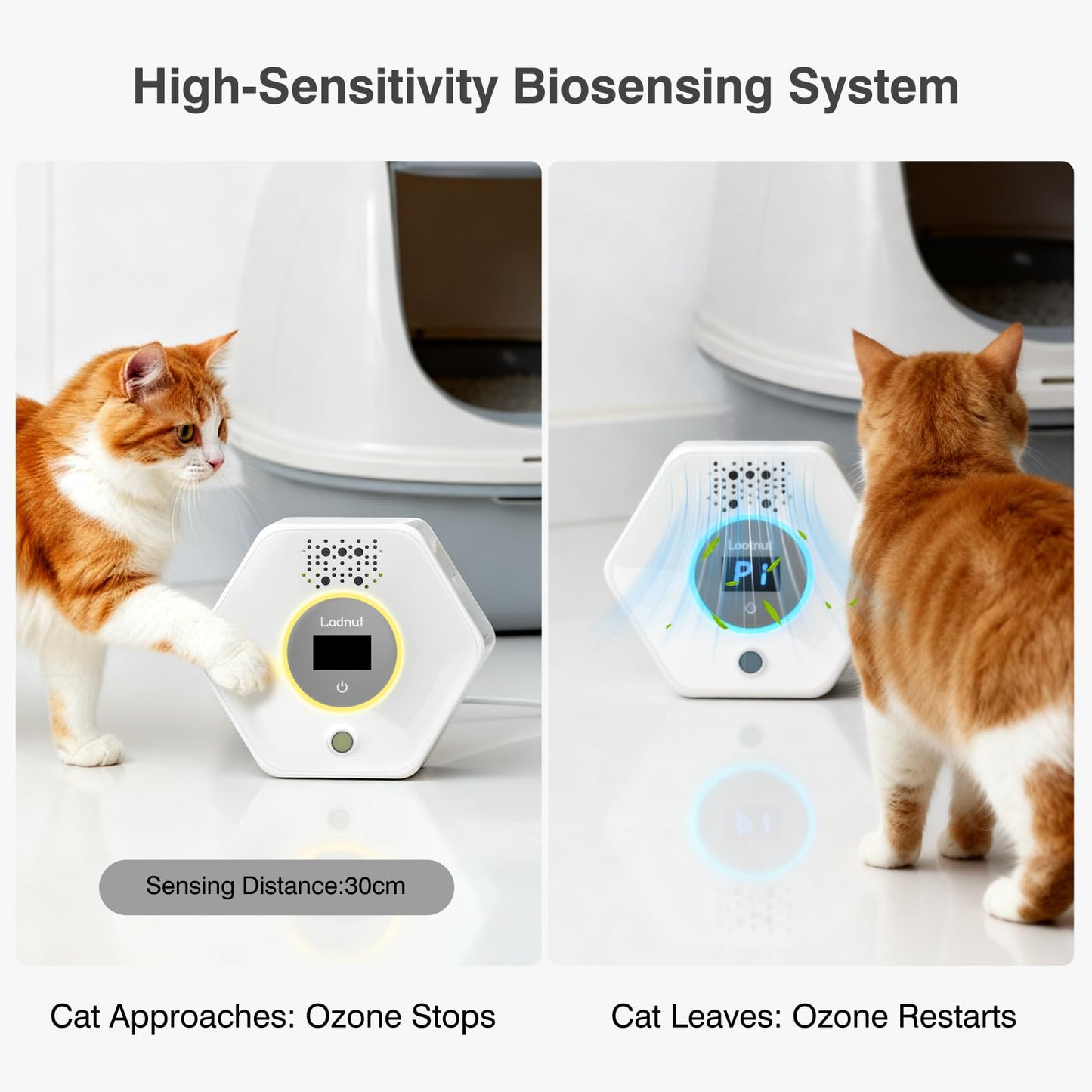 Cat Litter Odor Deodorizer. Chosen for real quality, fits naturally into modern pet homes.