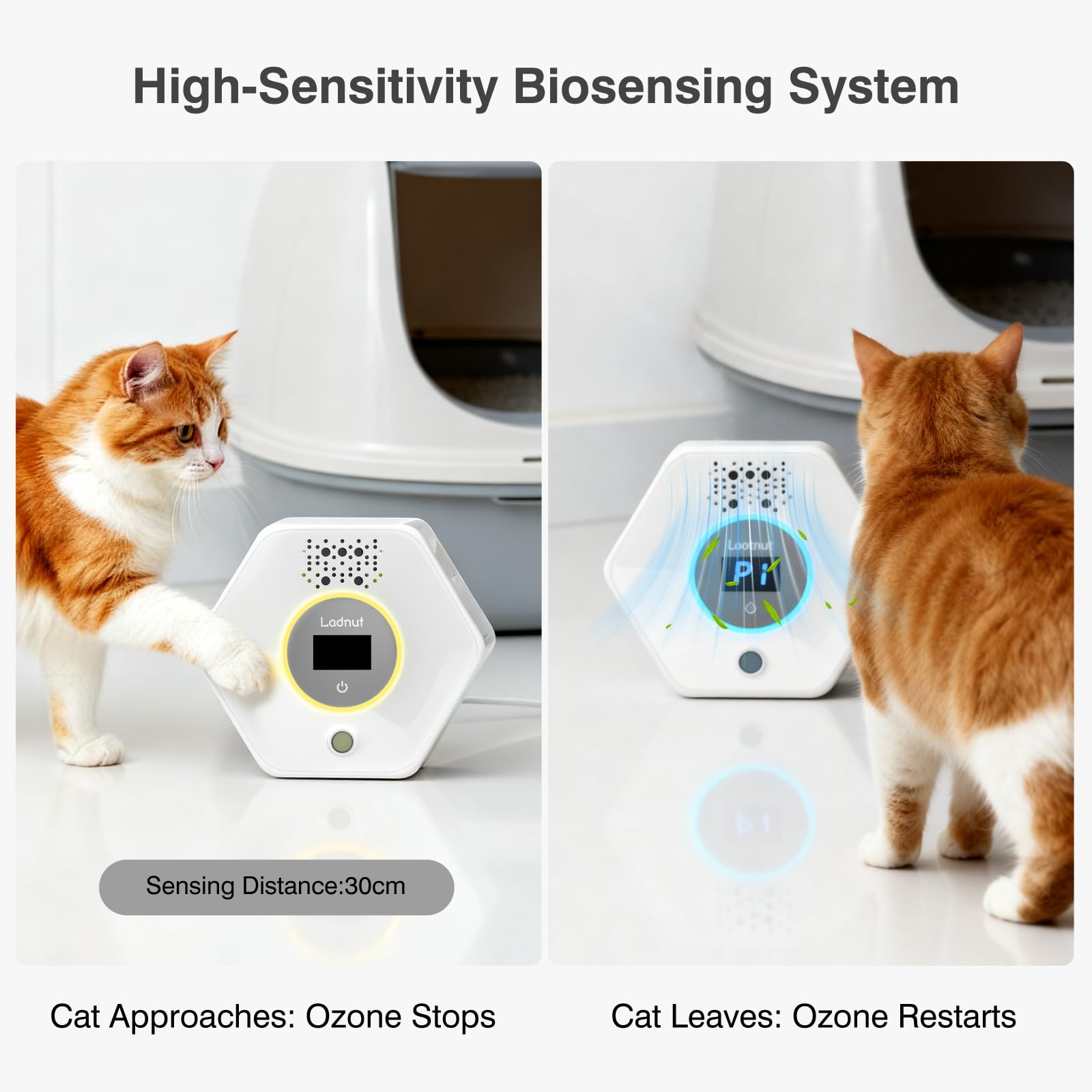 Cat Litter Odor Deodorizer. Chosen for real quality, fits naturally into modern pet homes.