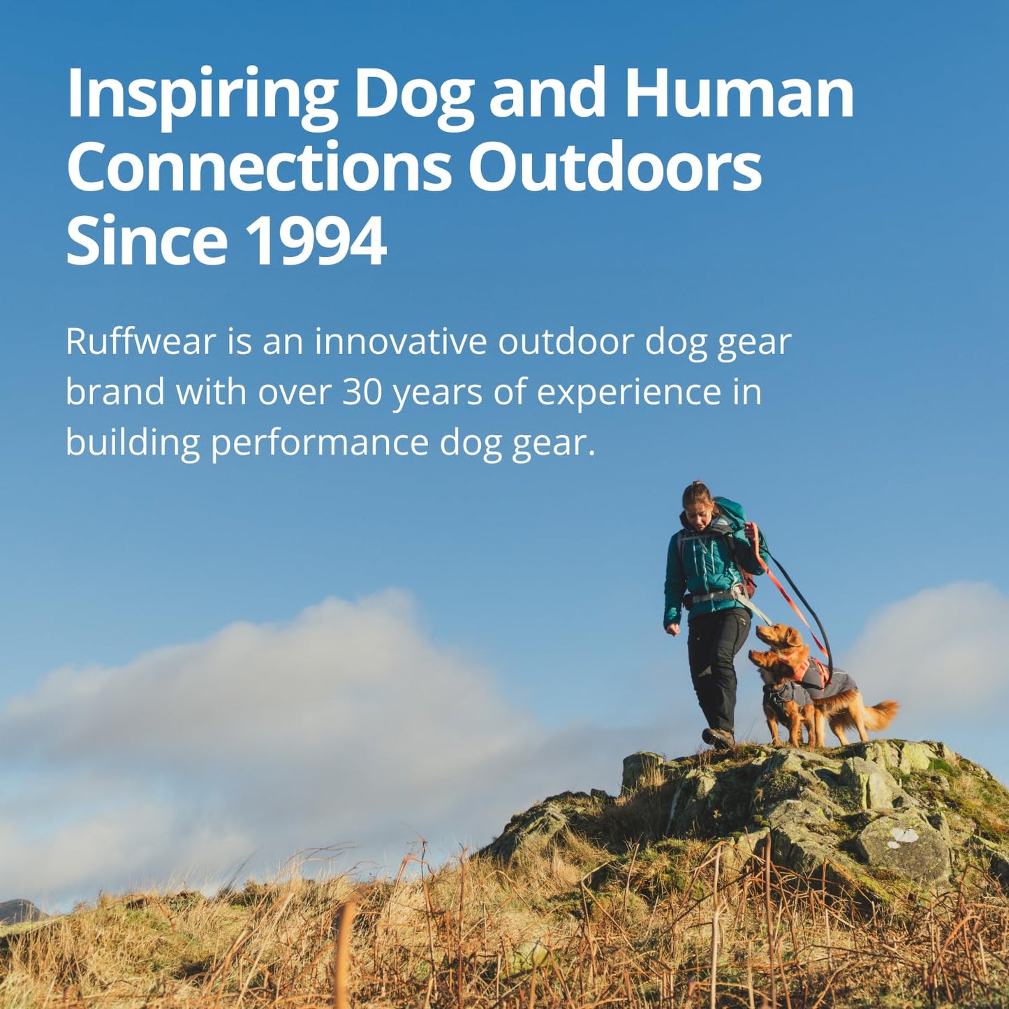 Ruffwear. Chosen for real quality, fits naturally into modern pet homes.
