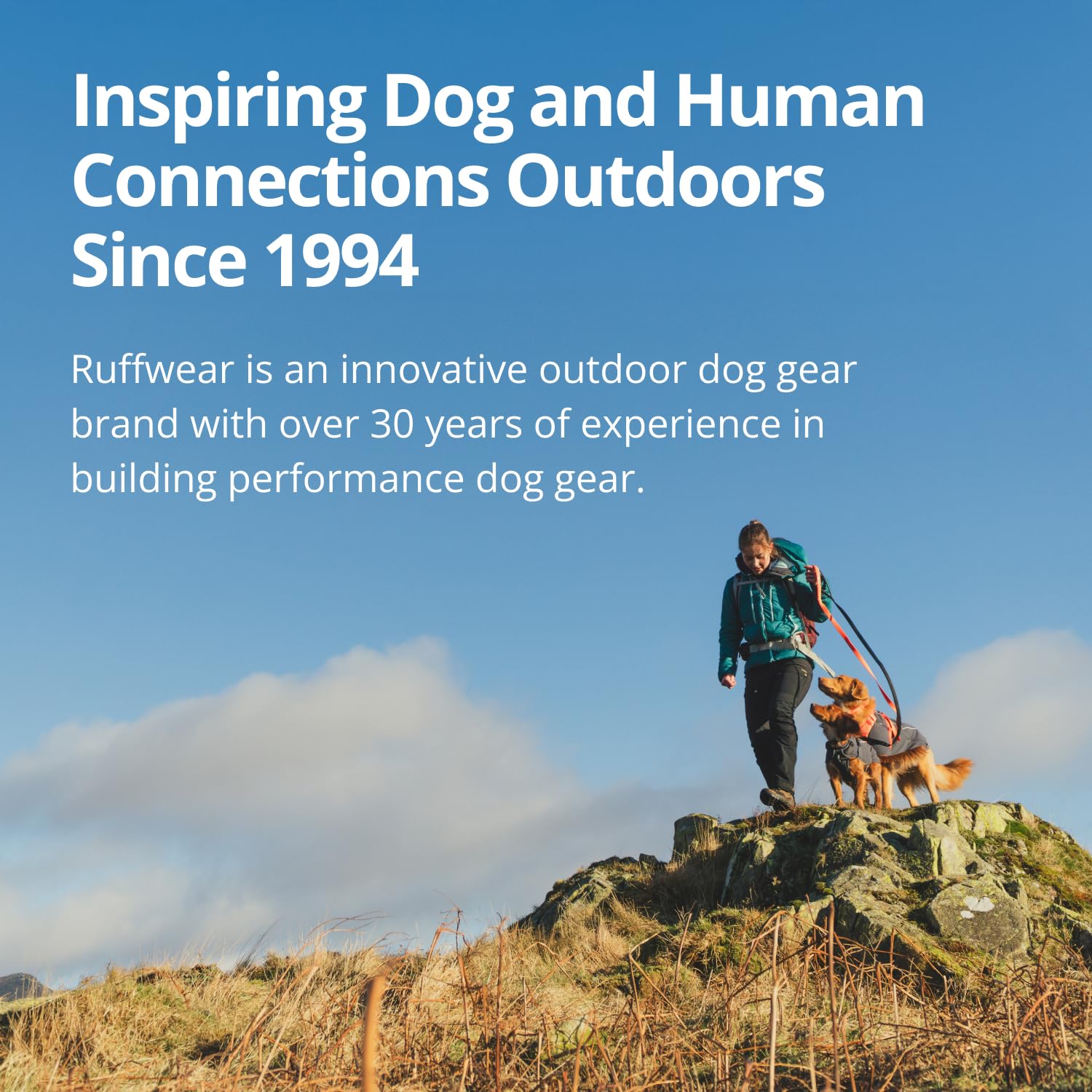 Ruffwear. Chosen for real quality, fits naturally into modern pet homes.