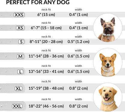 CollarDirect Rolled Leather Dog Collar, Soft Padded Round Puppy Collar, Handmade Genuine Leather Collar Dog Small Large Cat Collars 13 Colors (18-22 Inch, White Smooth)