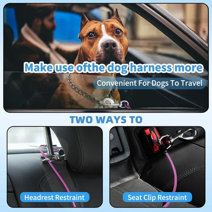 Dog Seat Belt Harness for Car,Dog Seatbelt of Coated Wire Leash Safety Restraint,No Chew Tether Cable Vehicle,Double Clips & Latch(Purple, 16 inch/40 CM)