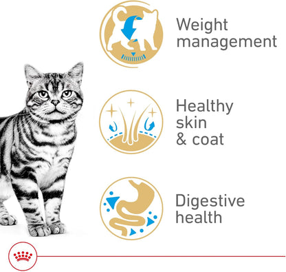 Royal Canin American Shorthair Breed Adult Dry Cat Food, 5.5 lb.