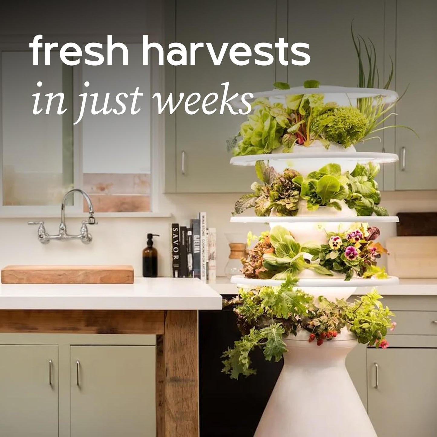 Farmstand Starter Kit with Glow Rings and 30 Seedling Credits | Family Hydroponic Growing System Kit | Vertical Garden Planter Tower | 5ft 5in Tall