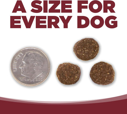 NutriSource Dry Dog Food, Beef and Rice, 4LB