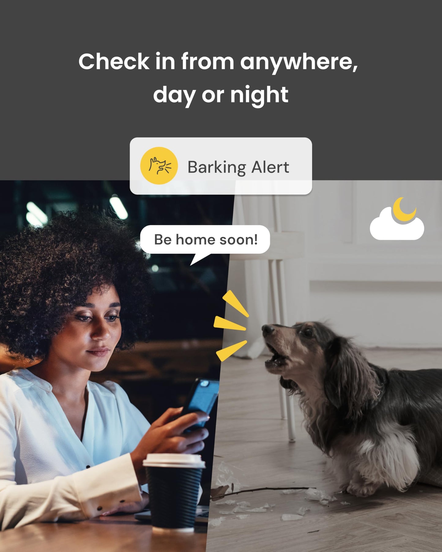 Furbo 360° Dog Camera [No Monthly Fee]. Chosen for real quality, fits naturally into modern pet