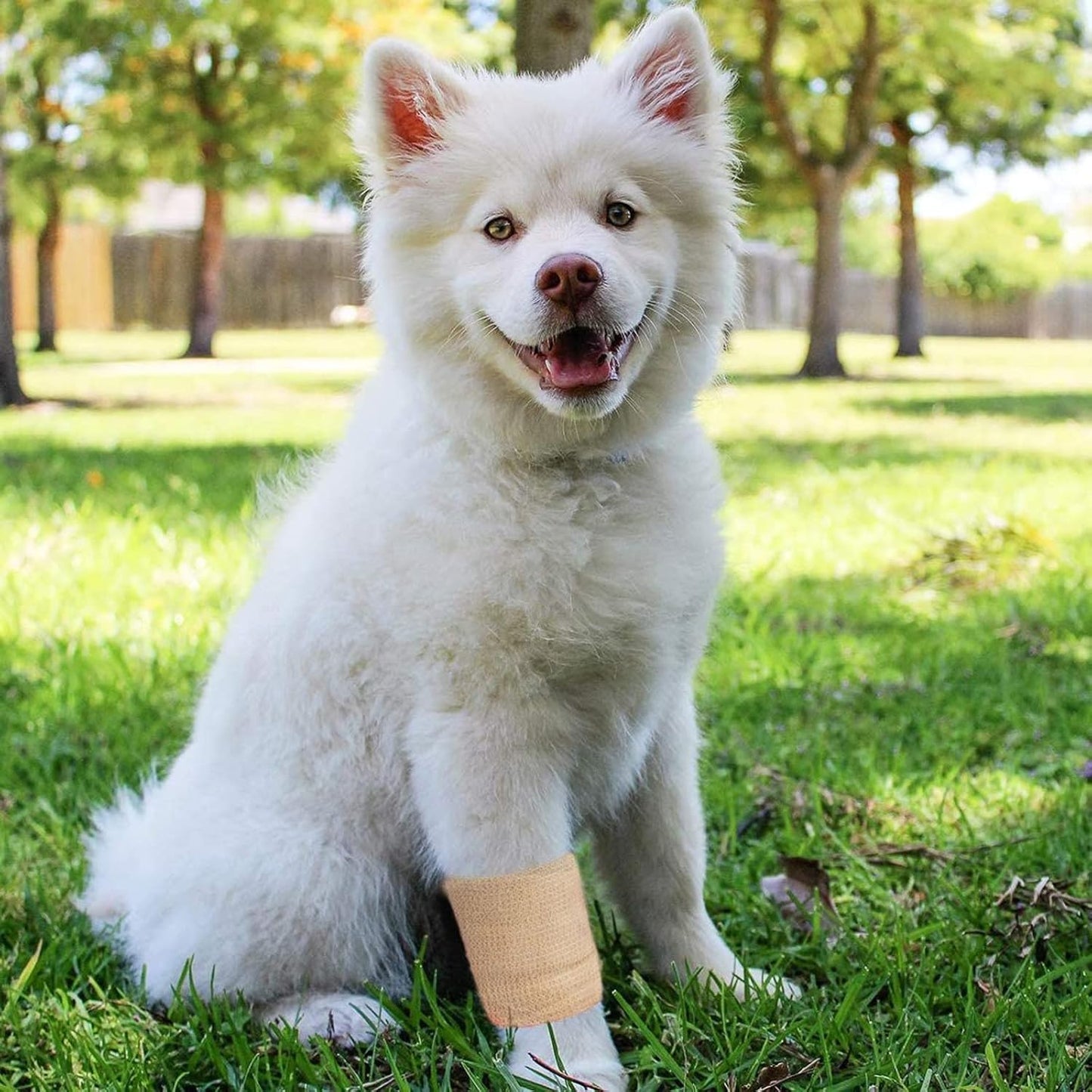 Juvale Elastic Bandage Wrap Self-Adherent Cohesive Tape 6 Rolls - Elastic Cohesive Tape with Stretchable Support - Breathable Vet Wrap for Wrist, Swelling, Sports, Tattoo (4 in x 5 Yds)