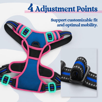 rabbitgoo Dog Harness No Pull with 2 Leash Clips, Adjustable Soft Padded, Reflective Oxford No Choke Pet Vest with Easy Control Handle for Large Dogs, Blue & Hot Pink, M