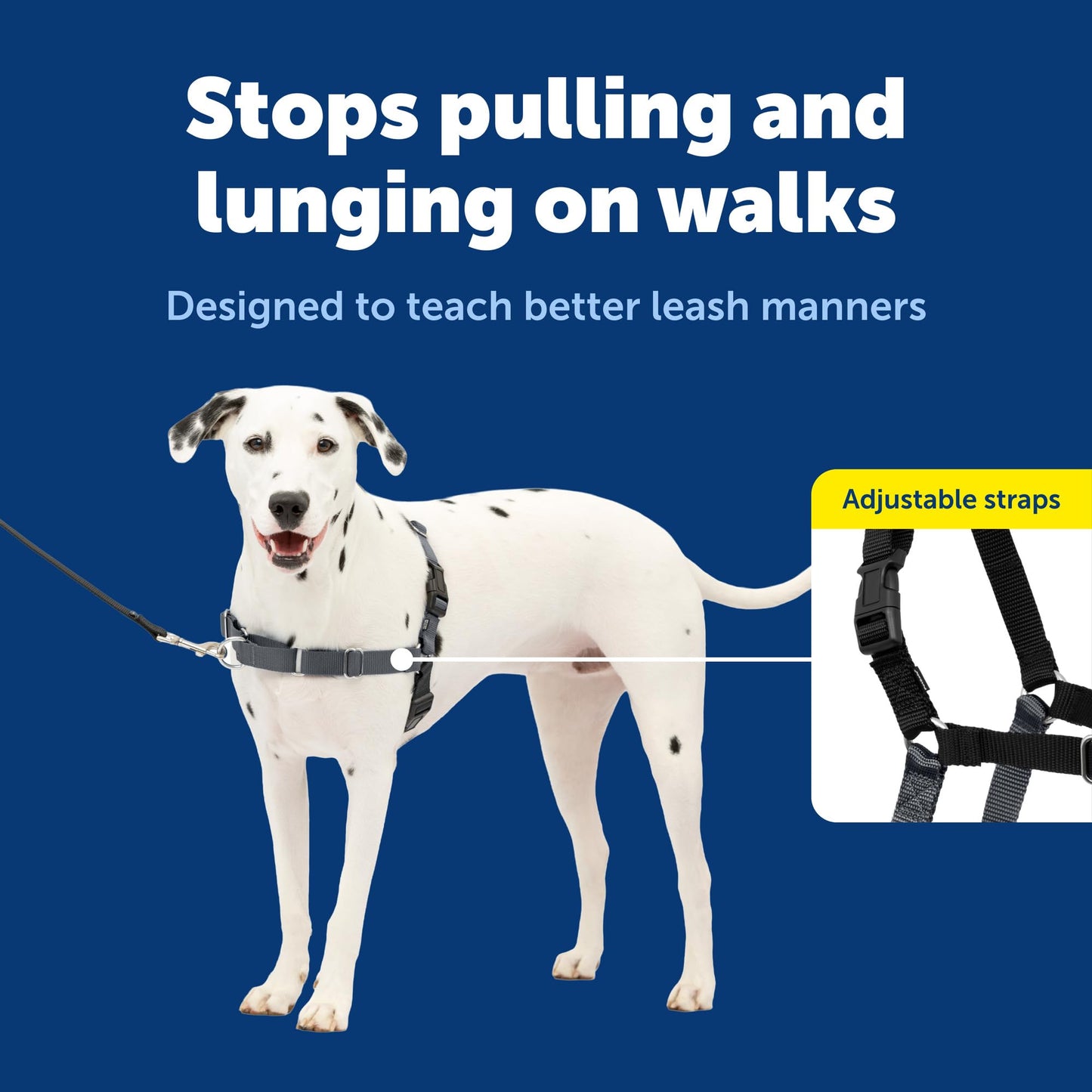 PetSafe Easy Walk Harness. Chosen for real quality, fits naturally into modern pet homes.
