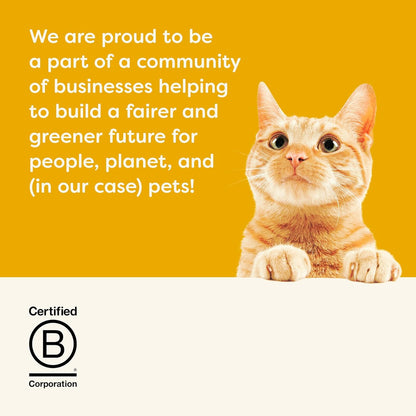 Applaws Natural Wet Cat Food in Gravy, Limited Ingredient Canned Cat Food, Wet Food for Cats with No Artificial Additives, Chicken Breast & Turkey in Gravy (24 x 2.47 oz Cans)