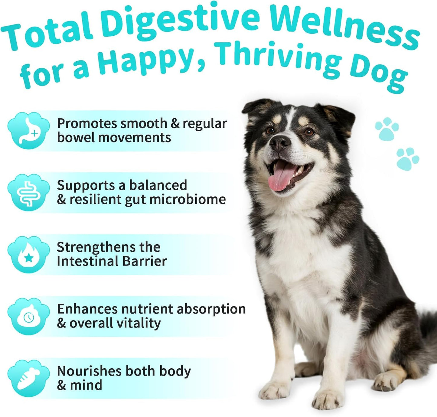 Probiotics for Dogs, Digestive Enzymes for Gut Health Support, Dog Fiber Supplement with Pumpkin for Diarrhea & Bowel Support, Upset Stomach & Gas Relief, Constipation - 90 Count Beef Flavor