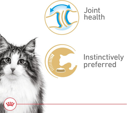 Royal Canin Feline Health Nutrition Aging 12+ Thin Slices In Gravy Canned Cat Food, 3 oz Can (24-count)