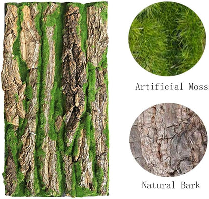 PINVNBY Cork Terrarium Background,Reptile Bark Backdrop Wall Decor and Artificial Moss for Gecko,Lizard,Tortoise,Chameleon (2 Pack)