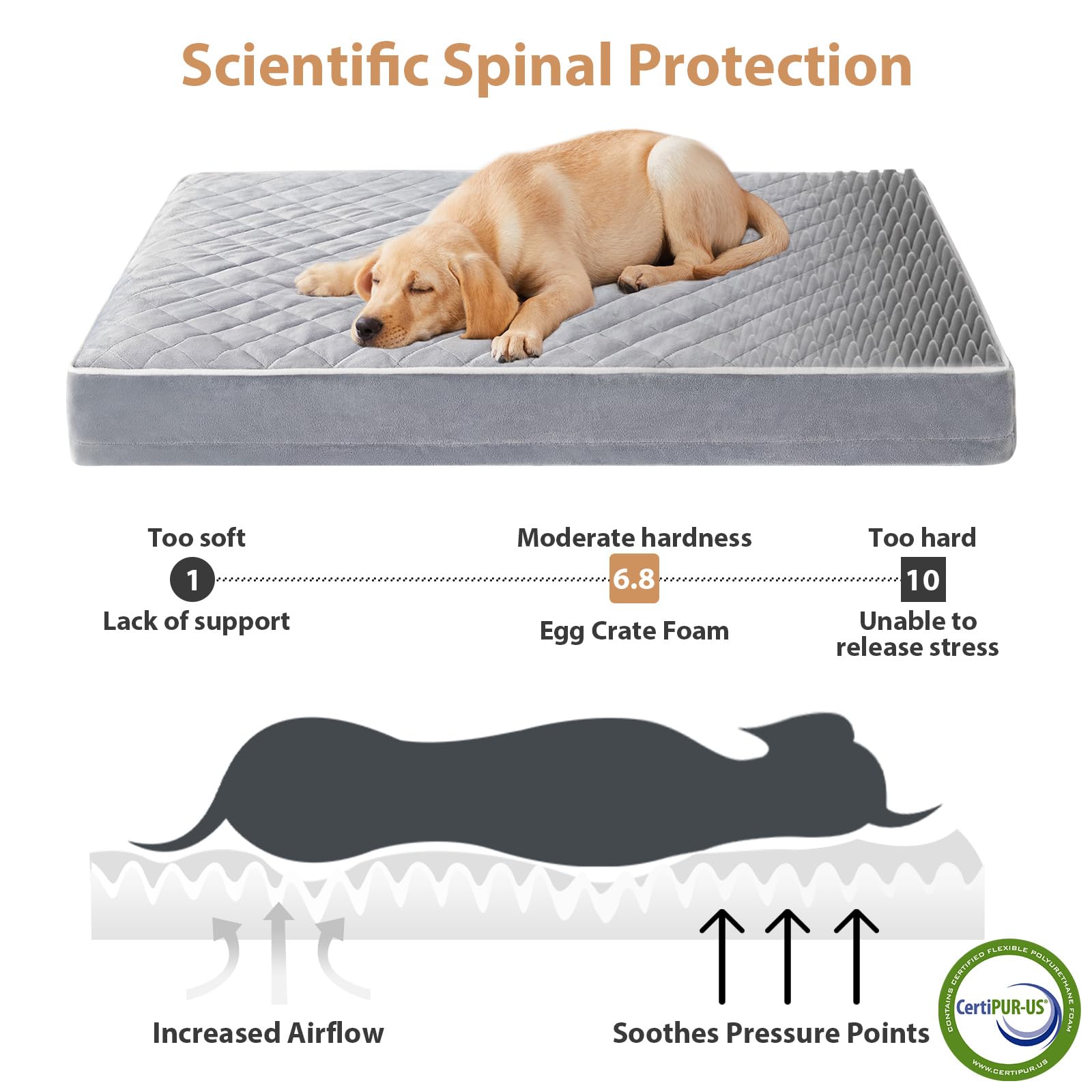 WNPETHOME Orthopedic Waterproof Extra Large Senior. Chosen for real quality, fits naturally into
