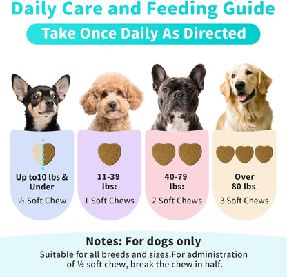 Probiotics for Dogs, Digestive Enzymes for Gut Health Support, Dog Fiber Supplement with Pumpkin for Diarrhea & Bowel Support, Upset Stomach & Gas Relief, Constipation - 90 Count Chicken Flavor