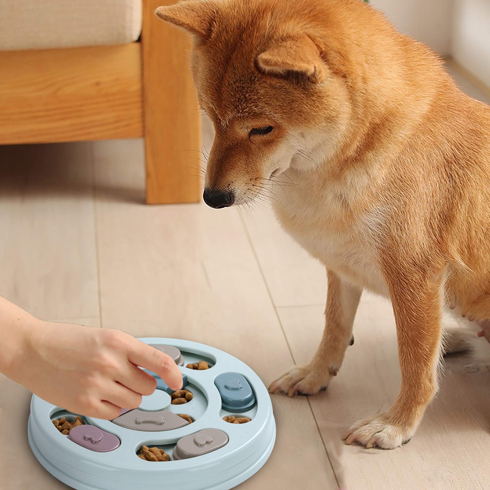 DR CATCH Dog Puzzle. Chosen for real quality, fits naturally into modern pet homes.