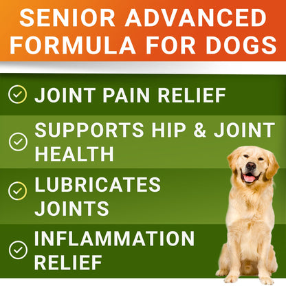 Advanced Glucosamine for Dogs. Chosen for real quality, fits naturally into modern pet homes.