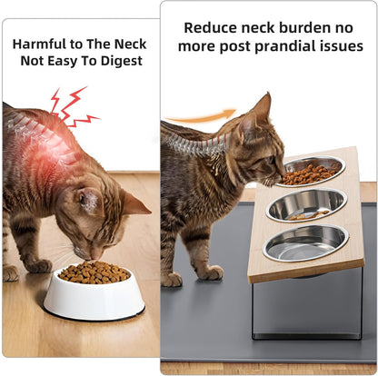 Upgraded Elevated Cat Bowls with Food Mat,15°Tilted Stand Anti Vomiting Raised Cat Dishes for Food and Water,3 Stainless Steel Bowls for Cats and Puppy