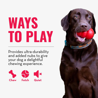 KONG Ring. Chosen for real quality, fits naturally into modern pet homes.