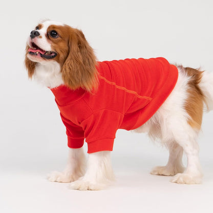 Fitwarm 3 Pack Classic Fleece Dog Sweater, Winter Clothes for Small Dogs Boy Girl, Turtleneck Dog Sweatshirt, Pet Apparel, Orange Red, Royal Blue, Neon Yellow, Small