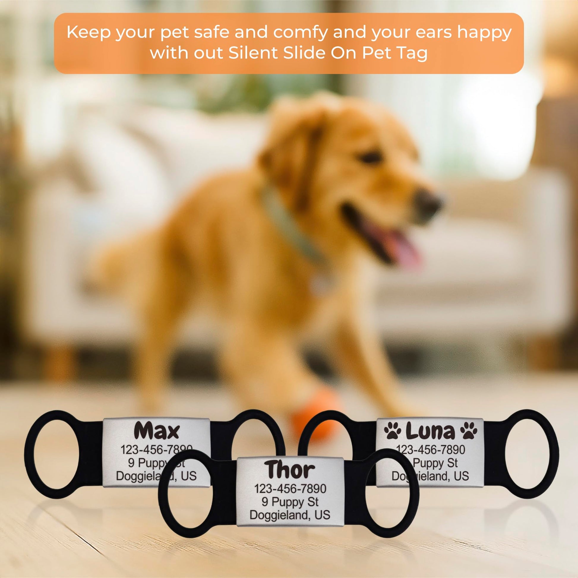 Custom Slide On Pet Tag ID. Chosen for real quality, fits naturally into modern pet homes.