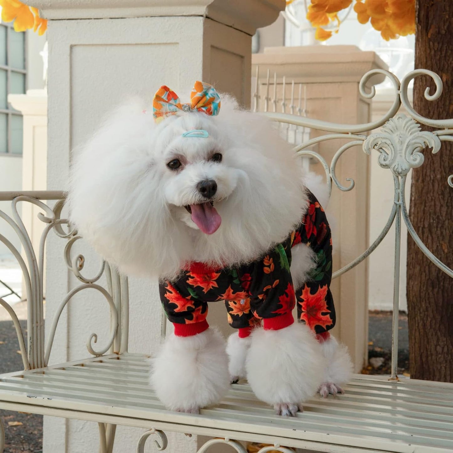 CuteBone Dog Halloween Pajamas Puppy Onesies Small Dogs Soft Pjs Coat Cat Apparel Comfy Pet Christmas Clothes Outfit Doggie Bodysuit P265S