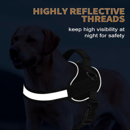 Haapaw Essential Dog Harness, No Pull Pet Vest with 3 Leash Clips, No Choke, Reflective, Adjustable and Padded, for Easy Walking and Training for Large Dogs(L, Black)
