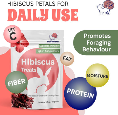 Snout and Shell Hibiscus Treats – 100% Natural Dried Flowers for Small Pets – Immunity Support & Antioxidants – Healthy Snack for Rabbits, Guinea Pigs, & Chinchillas (1 oz)