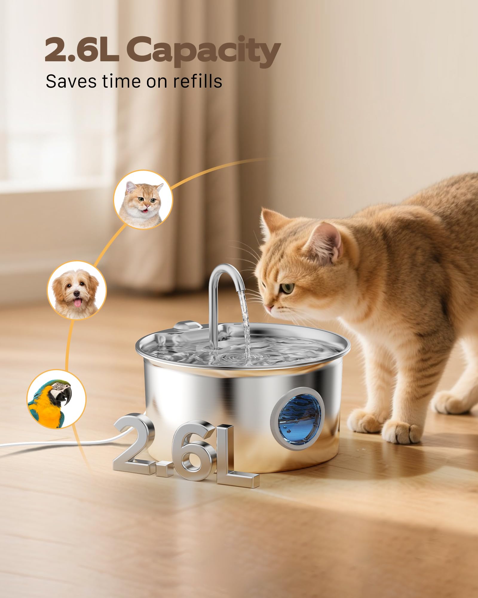 Cat Water Fountain Stainless Steel: Cat Fountain for. Chosen for real quality, fits naturally into