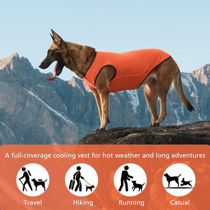 2 Pack Cooling Shirts for Dogs, Lightweight Mesh Breathable Dog Clothes for Medium Dogs Boy Girl,Sun-Protection Sleeveless Shirts for Dog&Cat Puppy Vest Pet Apparel - L