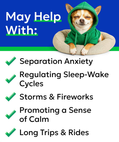 Hemp Calming Treats for Dogs. Chosen for real quality, fits naturally into modern pet homes.
