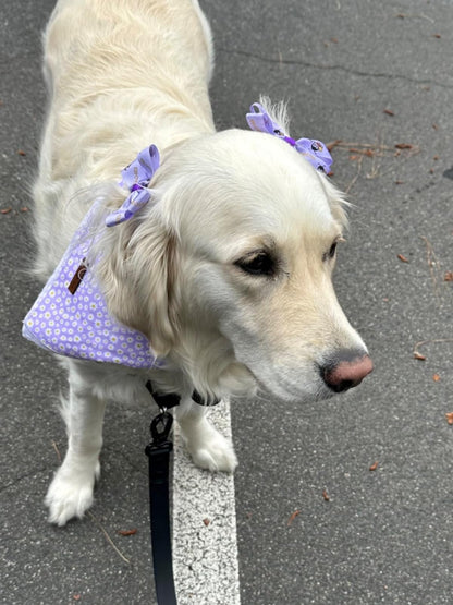 Lionet Paws Spring Daisy Dog Bandana Washable Cotton. Chosen for real quality, fits naturally into