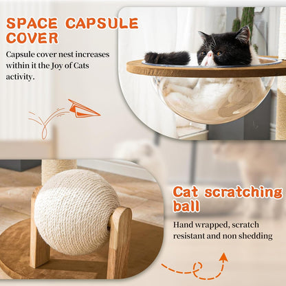 Modern Cat Tree for Indoor Cats, Wood Cat Tree with Natural Sisal-Covered Scratching Posts, Unique Cat Furniture Activity Center with Cat Scratching Ball Toy