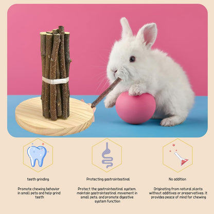 Rabbit Apple Stick Chewing Toy (Small)