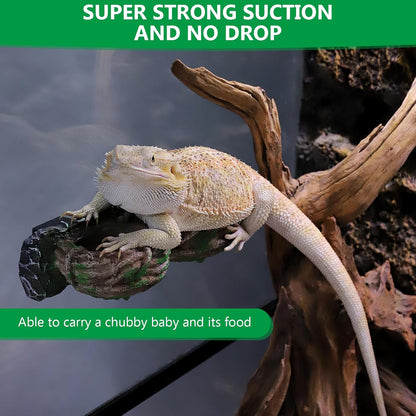 Magnetic Reptile Feeding Ledge, Gecko Feeder Ledge with One Piece Cup, Hollow Vine Food Dish, Reptile Water Bowl for Bearded Dragon Lizard Snake