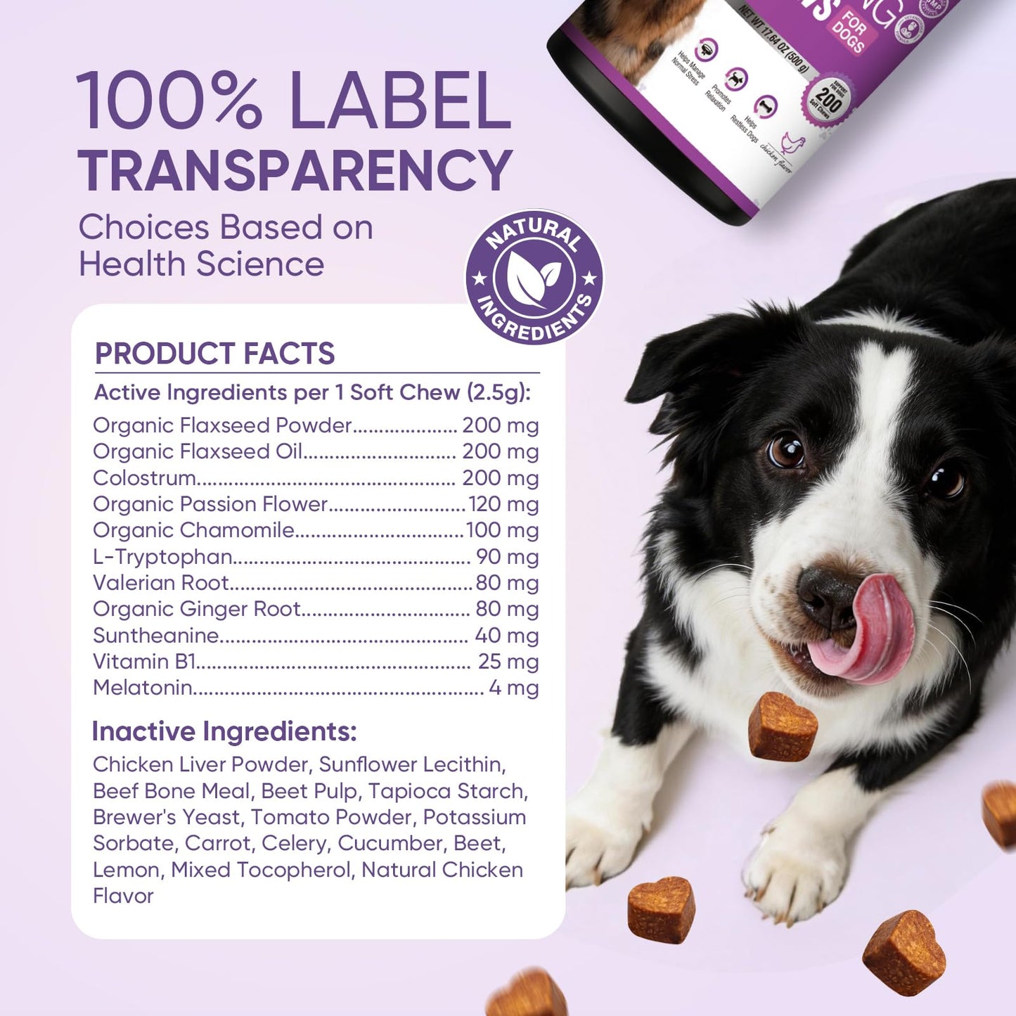 Calming Chews for Dogs 200. Chosen for real quality, fits naturally into modern pet homes.