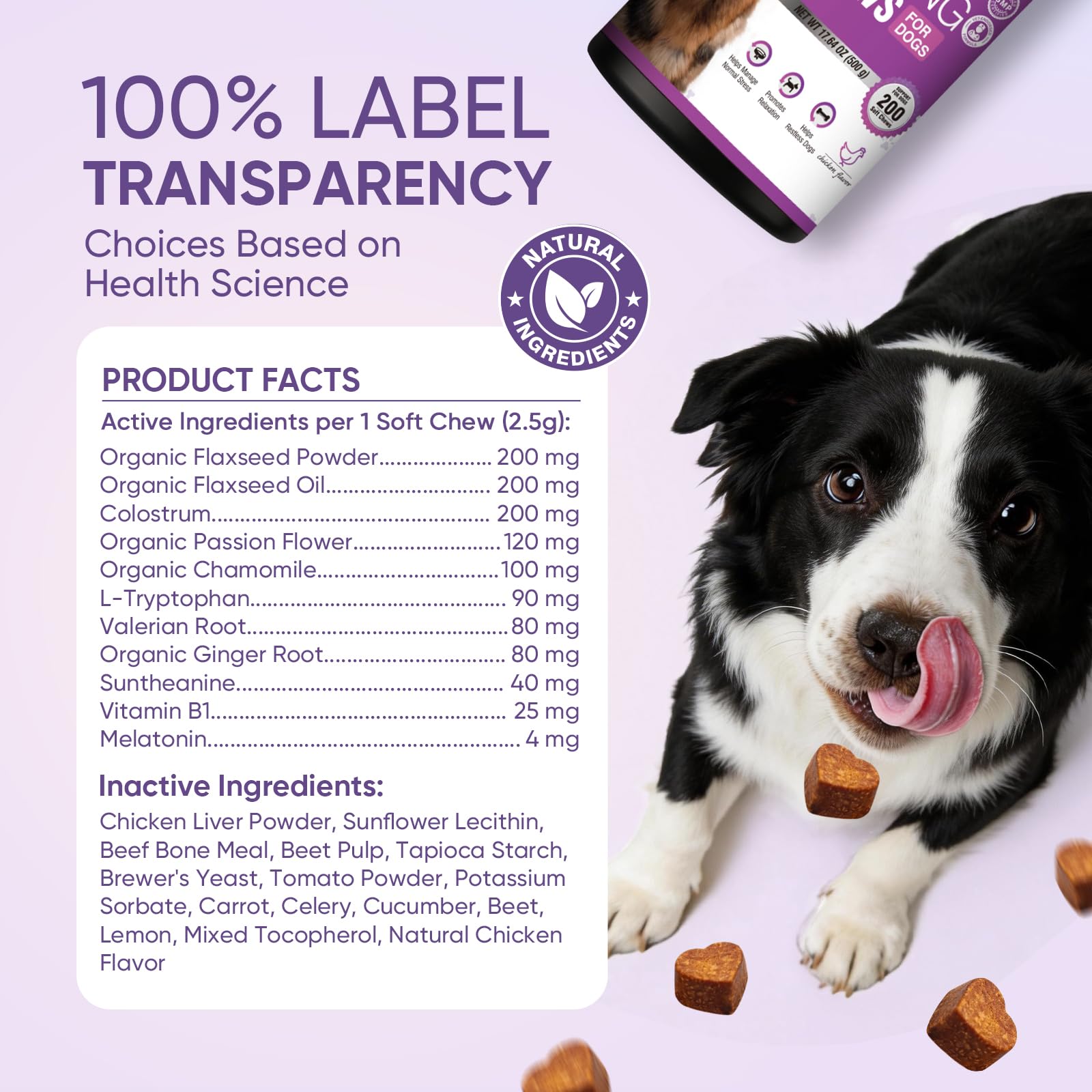 Calming Chews for Dogs 200. Chosen for real quality, fits naturally into modern pet homes.